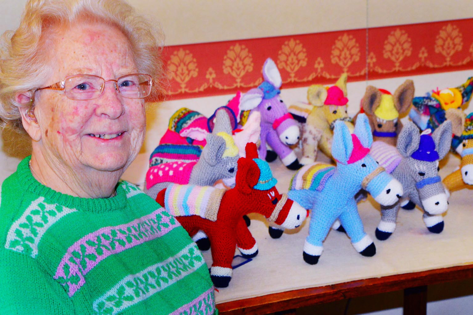 Gwen Furner 89 Loving Crafts Hand Knitted Donkeys To Raise Funds For Charity Chard Ilminster News